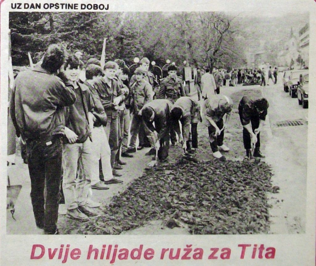 doboj 2000 ruža za tita