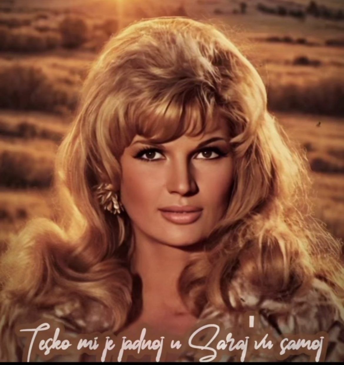 silvana armenulić ja nemam prava nikoga da volim