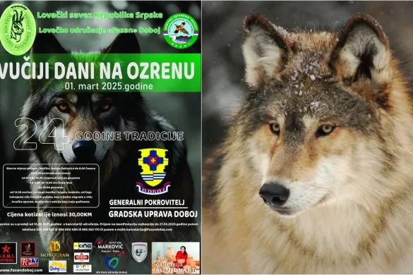 ozren hajka na vuka