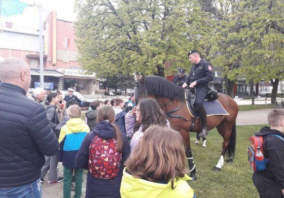 Policijska uprava Doboj organizovala je Dan otvorenih vrata za učenike dobojskih osnovnih škola u okviru kojeg je u Parku narodnih heroja predstavljen dio policijskih materijalno-tehničkih sredstava