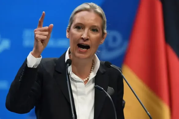 Alternativa za Njemačku afd ekstremizam