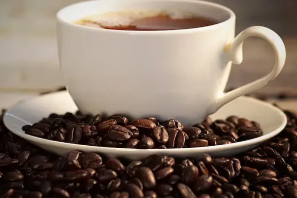 kafa metabolizam