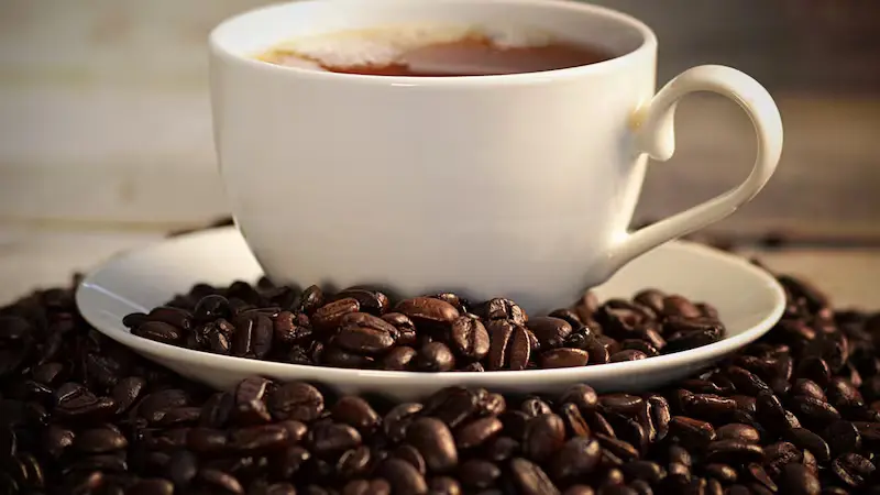 kafa metabolizam
