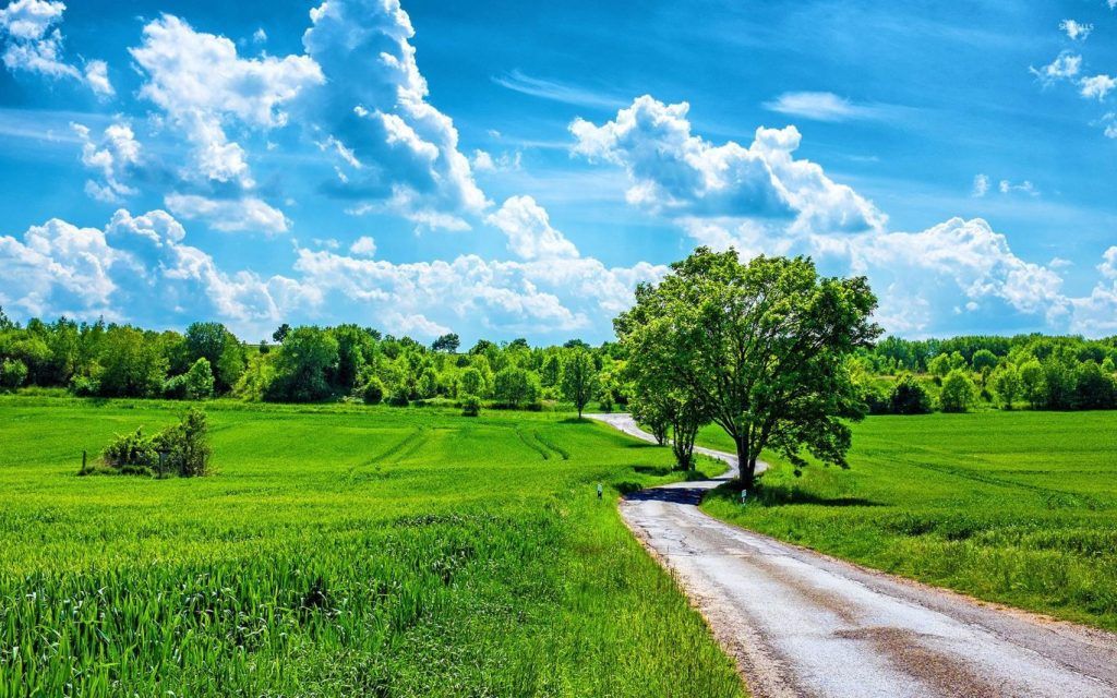 najviša dnevna temperatura
