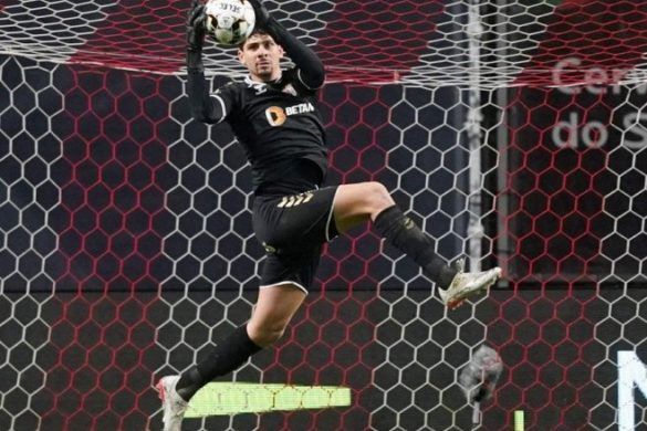 golman zvezde