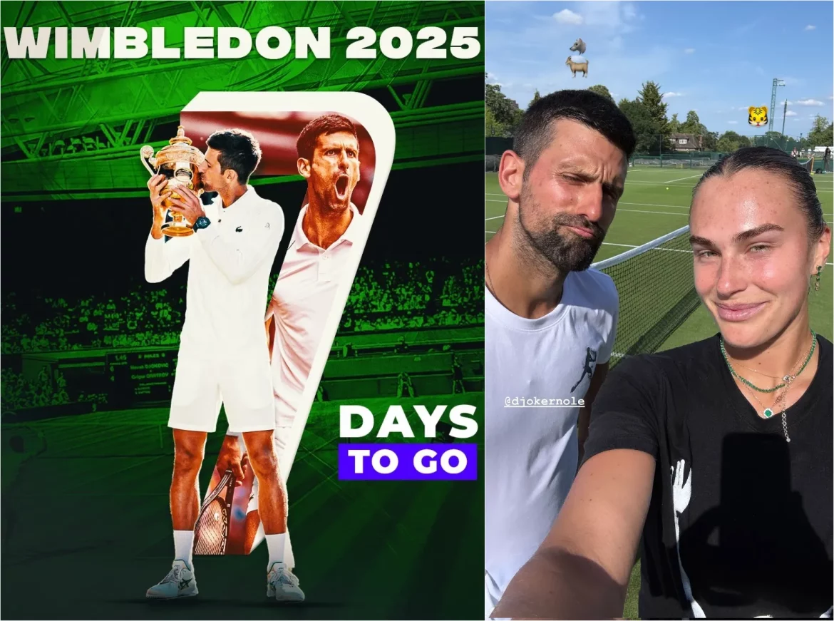 tim novaka đokovića