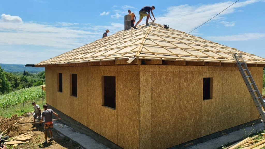 porodica radivojević trnjani