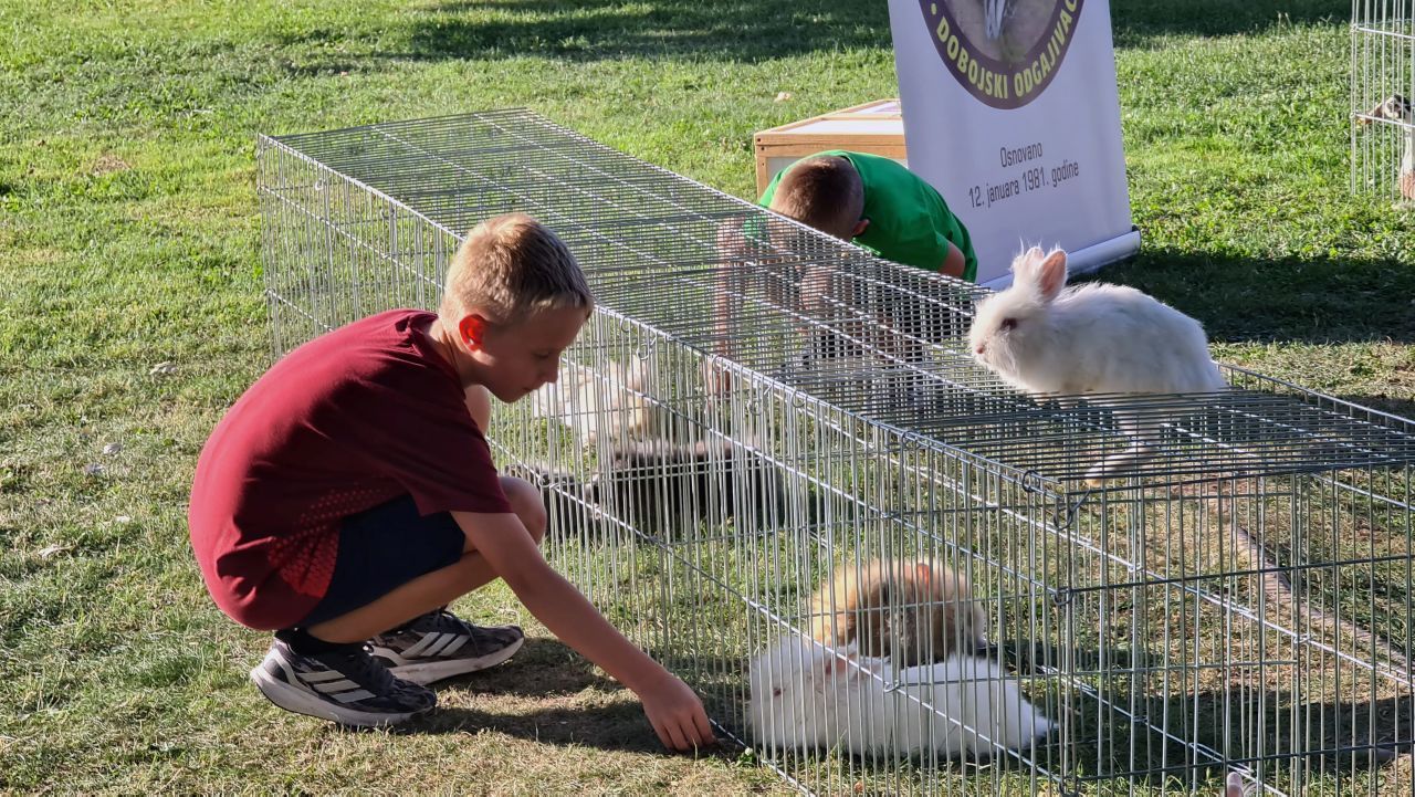 izložba sitnih životinja doboj