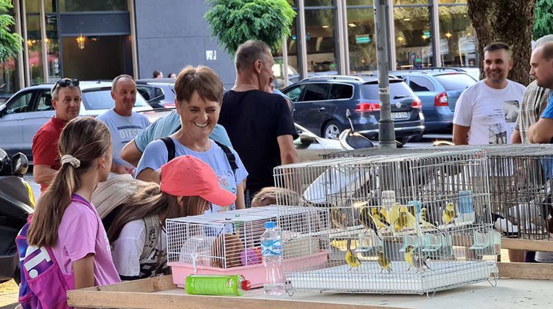 izložba sitnih životinja doboj