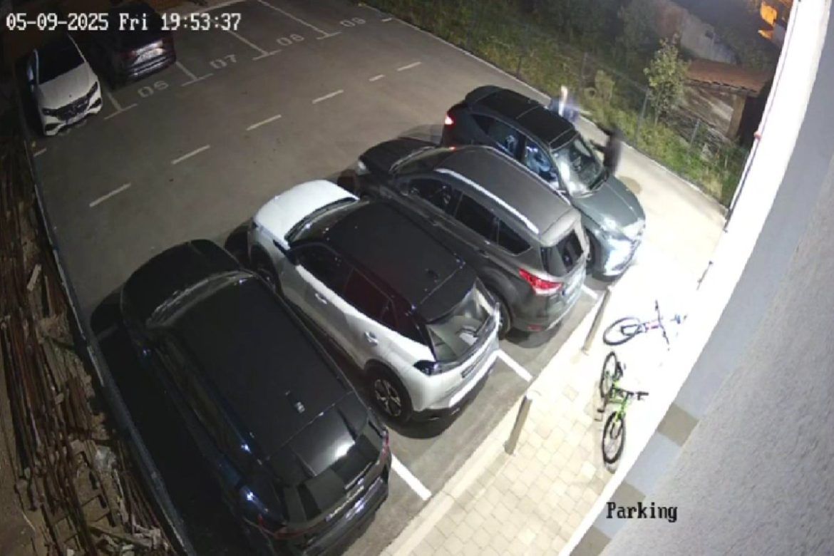 branislav borenović video napada