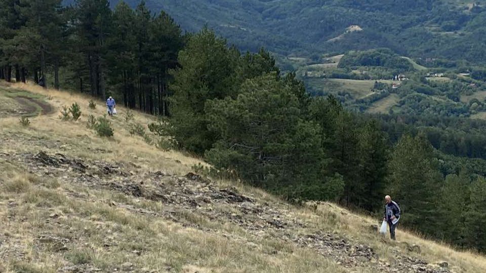 trava iva Gostilj Ozren