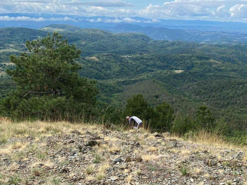 trava iva Gostilj Ozren