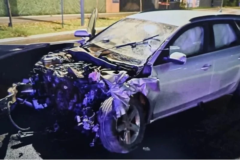 Nikola Đ udes beograd tročlana porodica