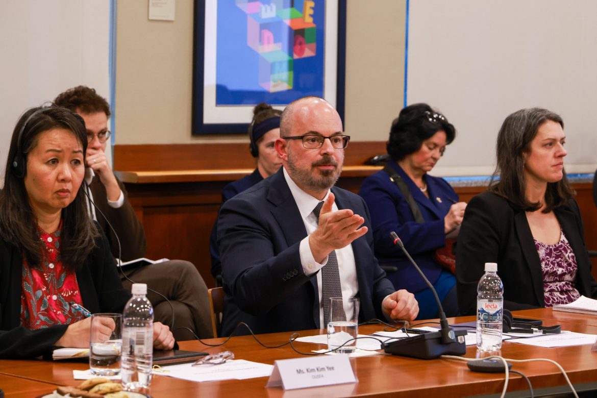 Južna interkonekcija