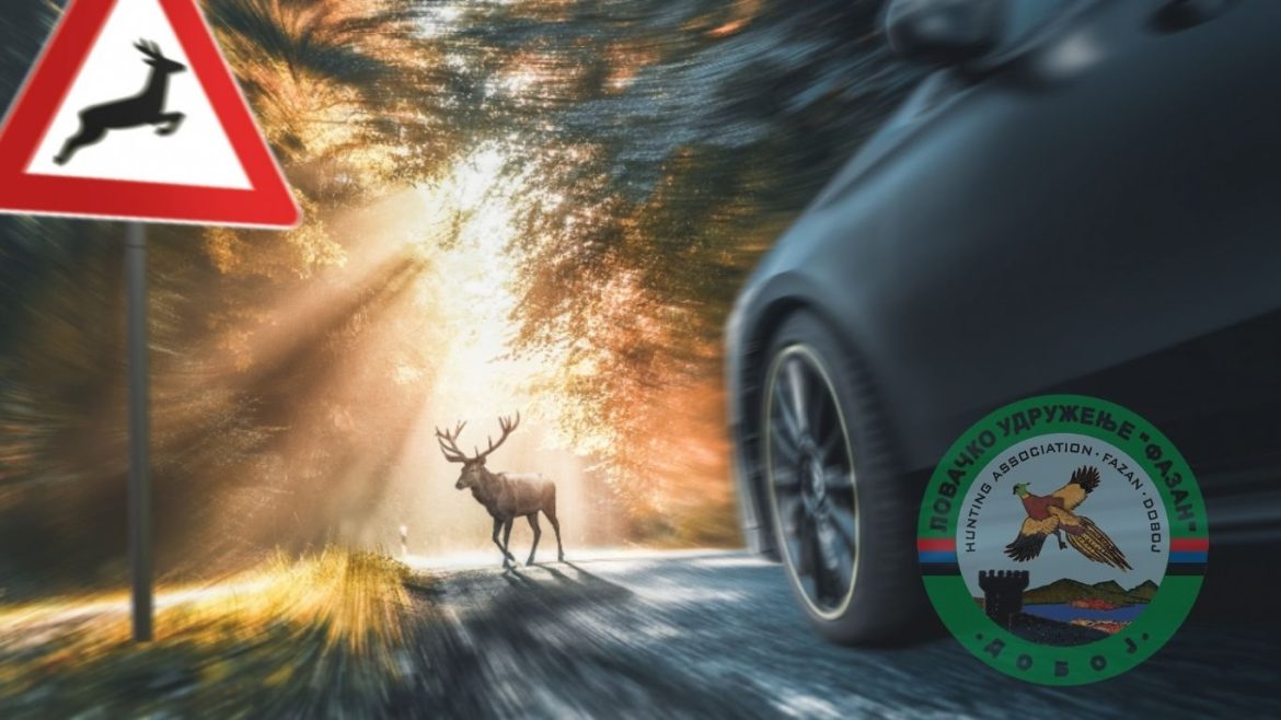 udar automobila na divljač