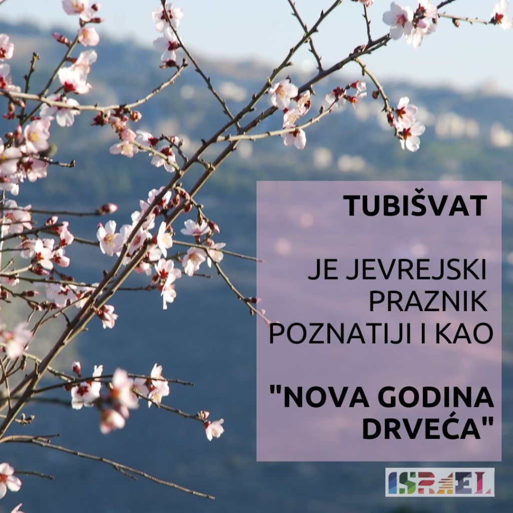 Tubišvat